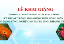 KHAI GIẢNG LỚP KỸ THUẬT TRỒNG VÀ CHĂM SÓC RAU TẠI NHÀ TẠI XÃ BÌNH KHÁNH, TP. HỒ CHÍ MINH KHAI GIẢNG LỚP KỸ THUẬT TRỒNG VÀ CHĂM SÓC RAU TẠI NHÀ TẠI XÃ BÌNH KHÁNH, TP. HỒ CHÍ MINH