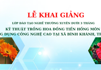 KHAI GIẢNG LỚP KỸ THUẬT TRỒNG VÀ CHĂM SÓC RAU TẠI NHÀ TẠI XÃ BÌNH KHÁNH, TP. HỒ CHÍ MINH